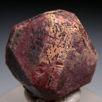 Eudialyte