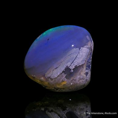 Opal replacement of Clam Fossil