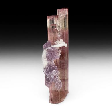 Elbaite with Lepidolite, Albite