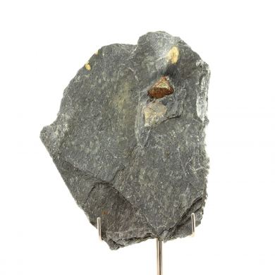 Pyrite + Slate. 483.0 ct.