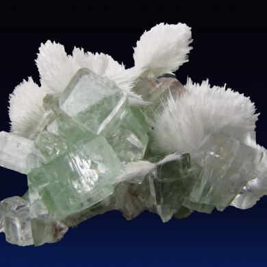 Apophyllite with Scolecite