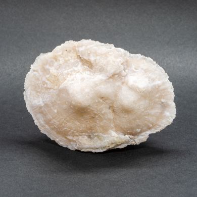 Quartz var. Chalcedony