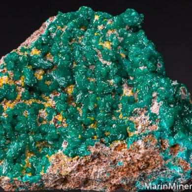 Dioptase with Wulfenite