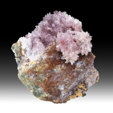 Creedite