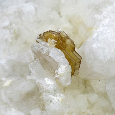 Bastnasite-Ce with Talc, Calcite