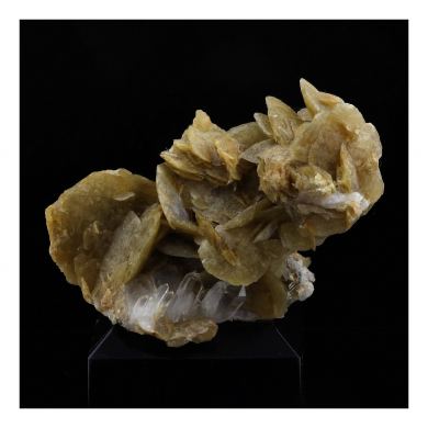 Siderite + Quartz.