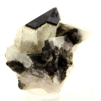 Anatase + Quartz + Chlorite.