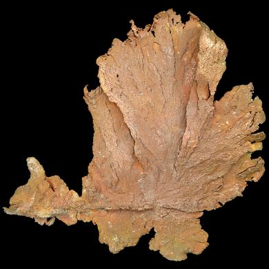 Copper / (leaf-like specimen)