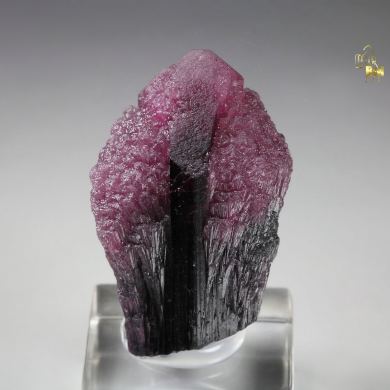 TOURMALINE var. RUBELLITE