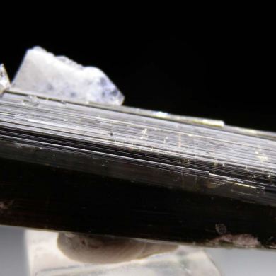 Tourmaline with Albite