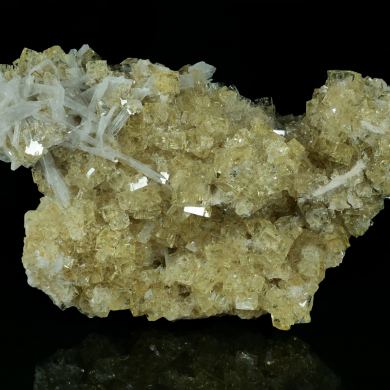 CELESTINE on FLUORITE - USA