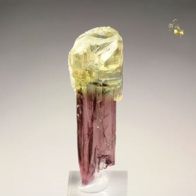 scepter TOURMALINE var. ELBAITE