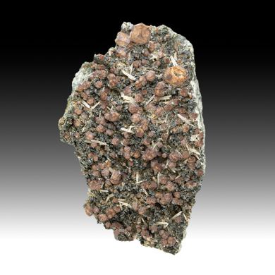 Andradite with Quartz, Hedenbergite