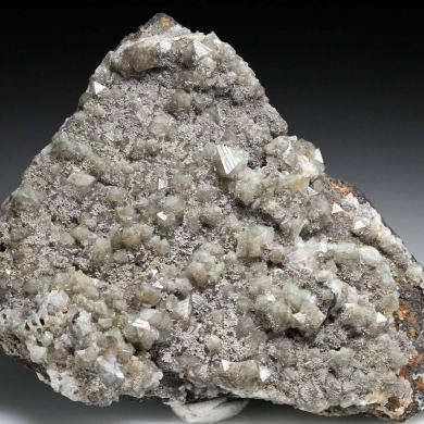 Wardite