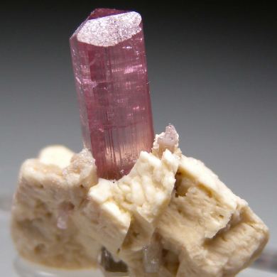 Tourmaline on Feldspar