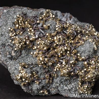 Hutchinsonite with Pyrite