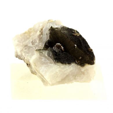 Anatase + Quartz + Chlorite.