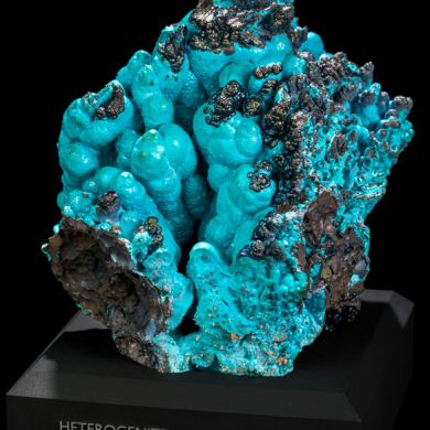 Heterogenite on Chrysocolla from DR Congo