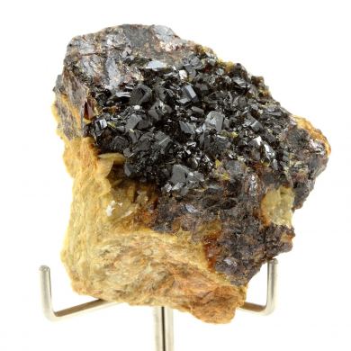 Sphalerite + Siderite.