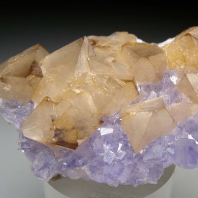 Scheelite on Fluorite