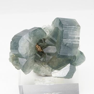 Fluorapatite with Siderite