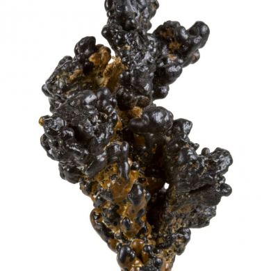 Manganese Biominerals (Todorokite, Romanechite, Birnessite)