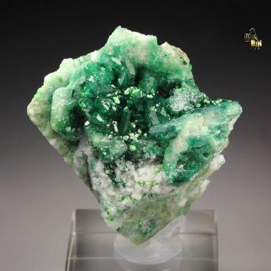 gem VESUVIANITE var. CHROMIAN, DIOPSIDE