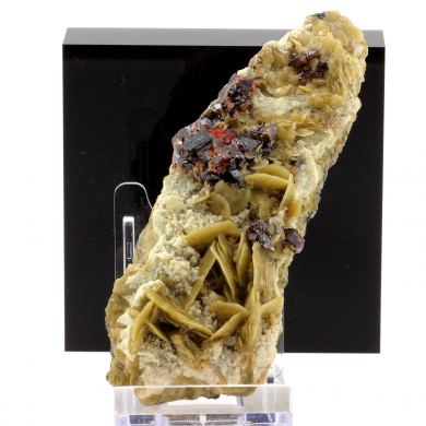 Sphalerite + Siderite.