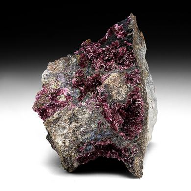 Erythrite with Phlogopite