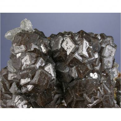 Andradite, Quartz, Magnetite