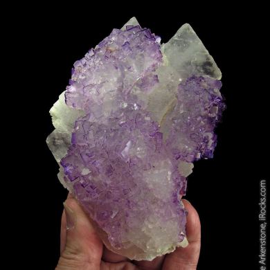 Fluorite on Celestine