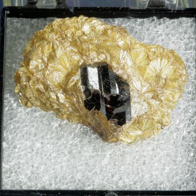 Rutile on Pyrophyllite