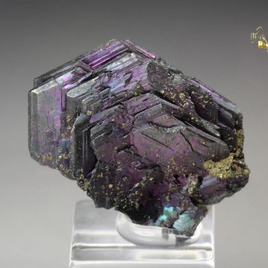 iridescent POLYBASITE