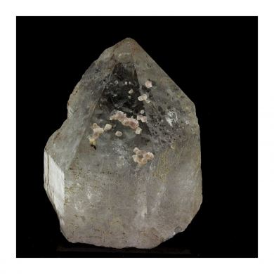 Pink Fluorite + Quartz.