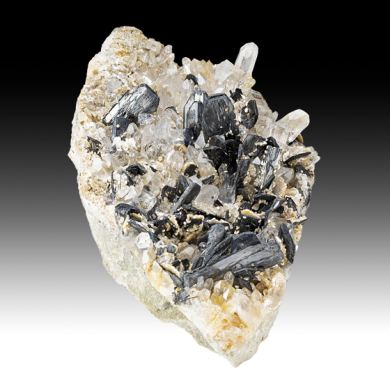 Ferberite with Quartz, Muscovite