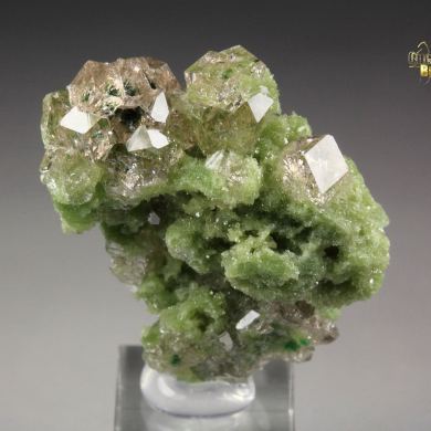 gem GARNET var. GROSSULAR with GREEN CHROMIAN PHANTOMS, DIOPSIDE