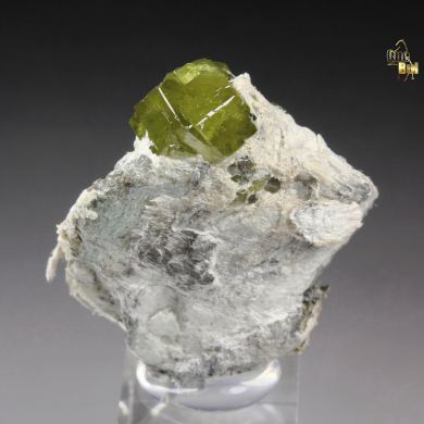 gem GARNET var. ANDRADITE var. DEMANTOID