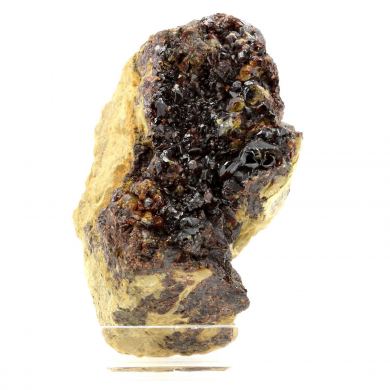 Sphalerite + Siderite.