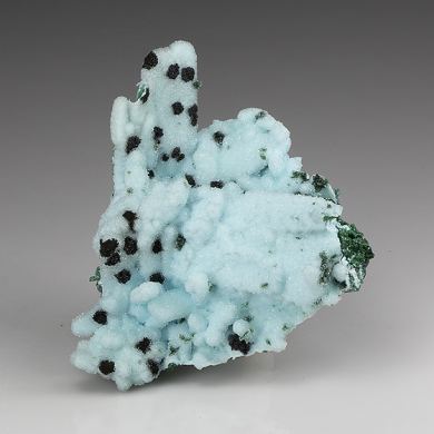 Chrysocolla pseudomorph with Malachite, Quartz