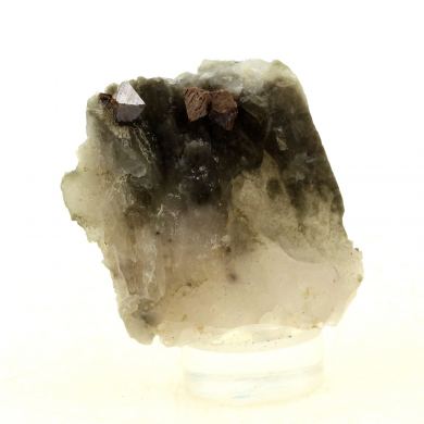 Anatase + Quartz + Chlorite.