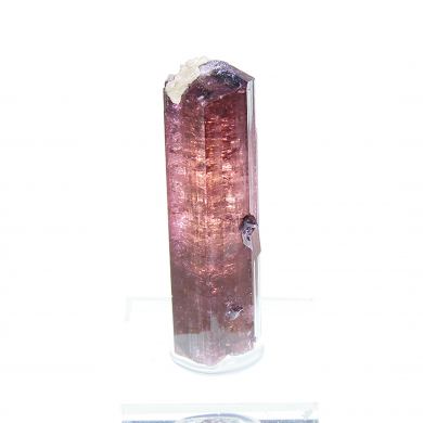 Tourmaline / (Fluor-Liddicoatite)