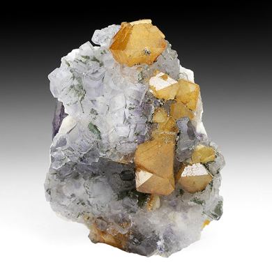 Scheelite with Fluorite, Pyrite