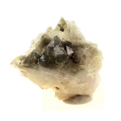 Anatase + Quartz + Chlorite.