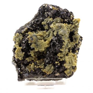 Sphalerite + Siderite.