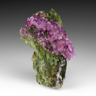 Corundum var. Ruby with Pargasite