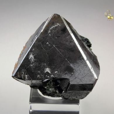 MAGNETITE, ACTINOLITE