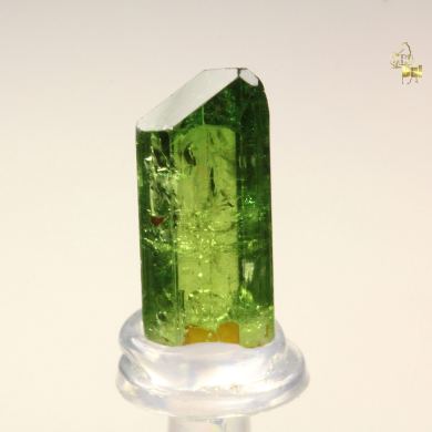 gem TOURMALINE var. DRAVITE