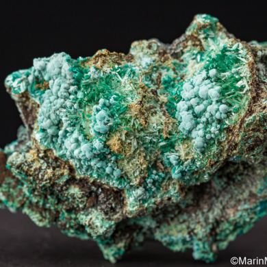 Aurichalcite, Rosasite