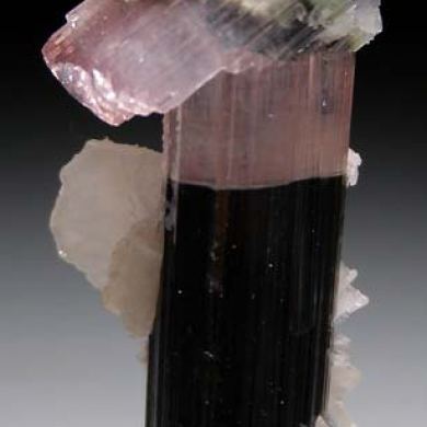 Tourmaline with Albite