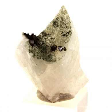 Anatase + Quartz + Chlorite.